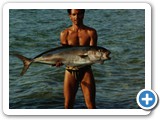corsica_1990