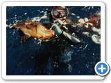 lampedusa_1987